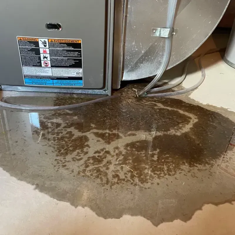 Appliance Leak Cleanup in Gilbert, IA